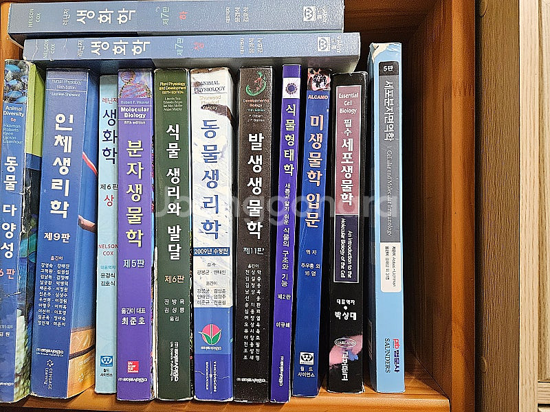 생물 임용/ 생물학과 전공 책 팝니다(레닌저 생화학 동물생리학 인체생리학 발생생물학 식물생리 분자생물학 미생물학 등...--0